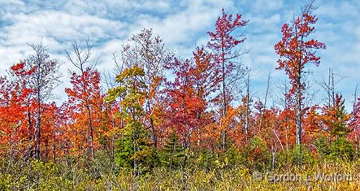 Autumn Landscape_DSCF4942.jpg - Photographed near Franktown, Ontario, Canada.